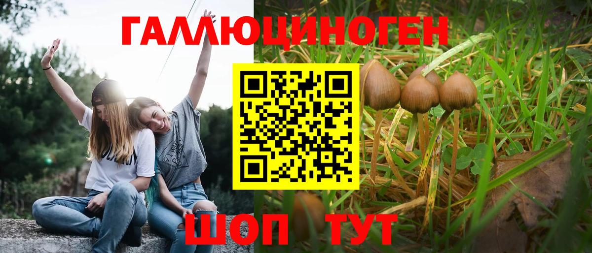 Галлюциногенные грибы мицелий Стрежевой